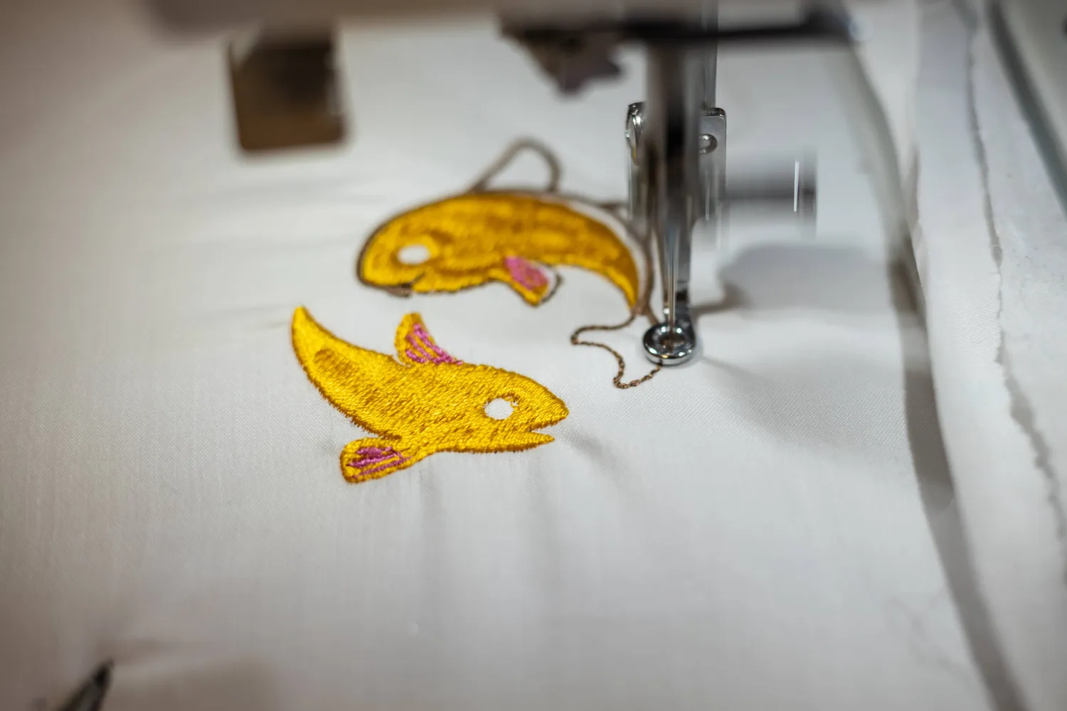 impression sur tee shirt saint cast le guildo